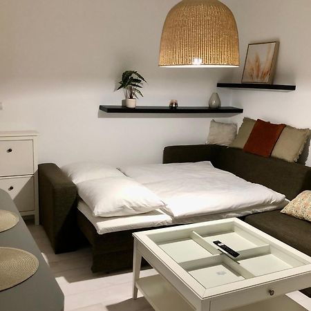 Apartman V Centre Ziliny S Parkovanim Żylina Zewnętrze zdjęcie